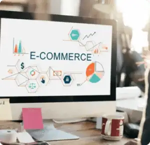 Ecommerce Websites