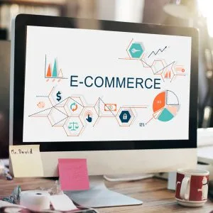 Ecommerce Websites